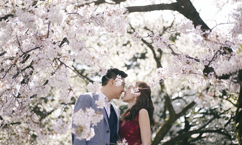 Japan pre-wedding and engagement photo